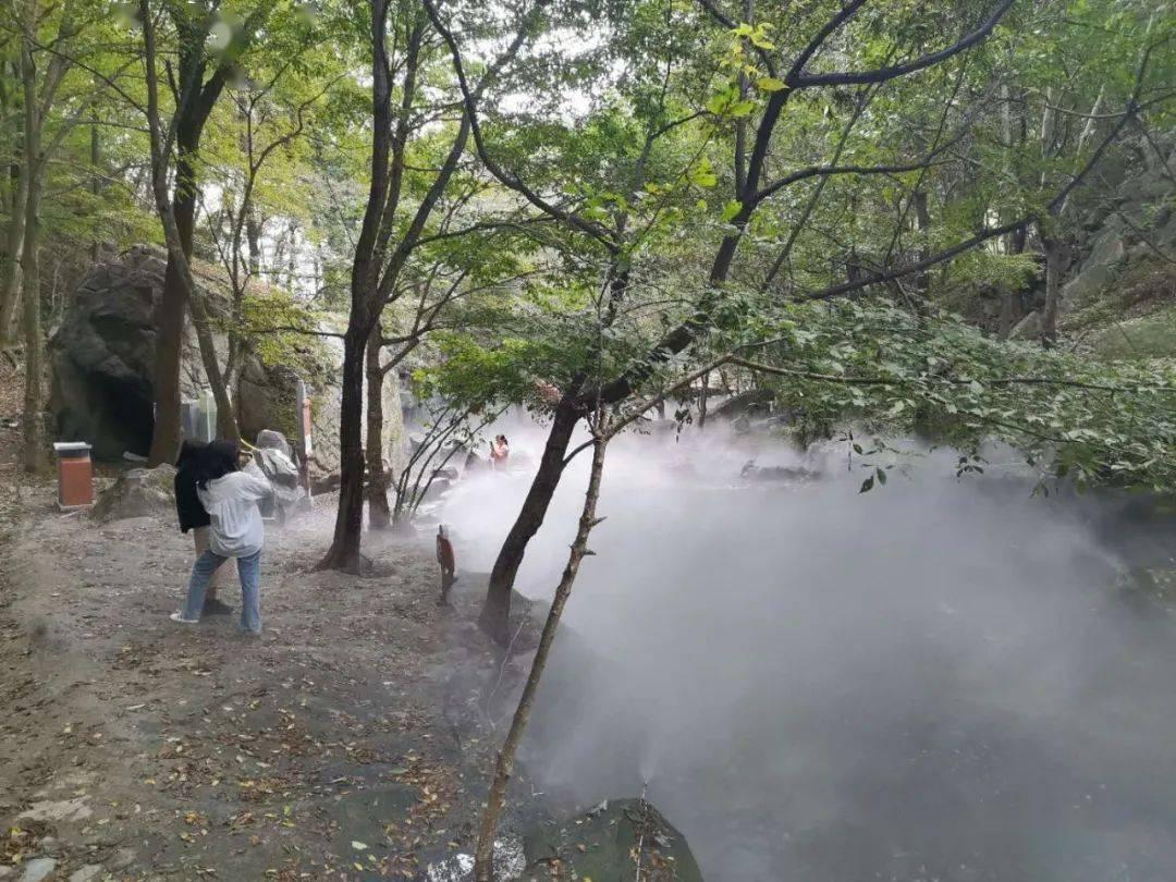 比亚迪海鸥上市首年即成爆款，获A00级年度销量冠军